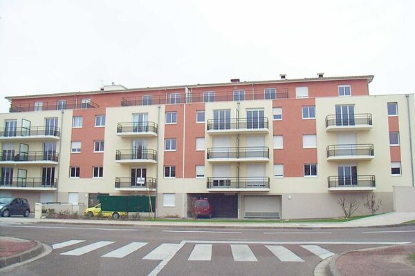 LES LIBELLULES